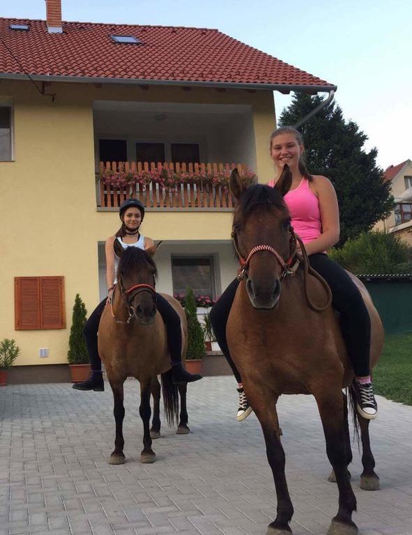 Hotel Lotuszvirag Vendeghaz Szekszárd Zewnętrze zdjęcie