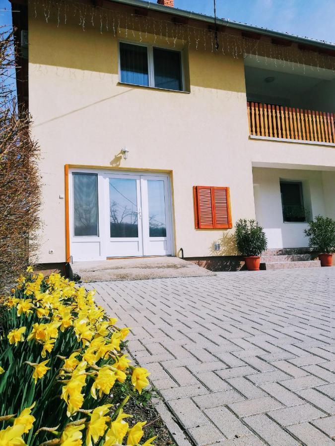 Hotel Lotuszvirag Vendeghaz Szekszárd Zewnętrze zdjęcie
