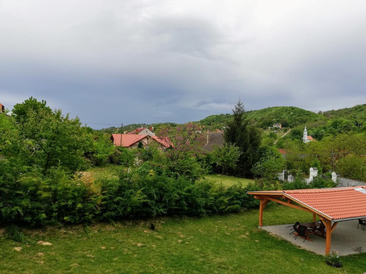Hotel Lotuszvirag Vendeghaz Szekszárd Zewnętrze zdjęcie